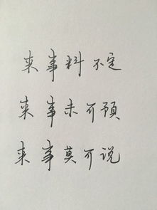 文言文将来怎么说