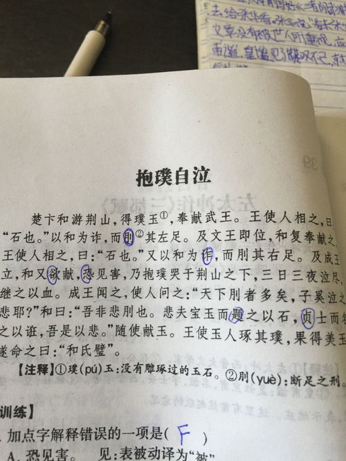 抱璞自泣文言文