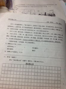 作业用文言文怎么说