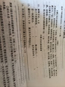 风俗文言文答案