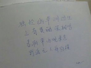 滁州西涧古诗赏析,滁州西涧古诗诗句的意思,古诗梅花诗句解析