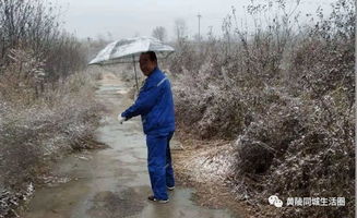 描写下雪的古诗四行诗句