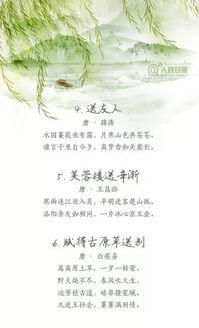 诗句,离别,文章