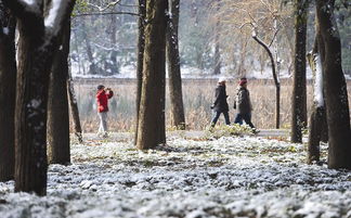 诗句,大雪,爱情