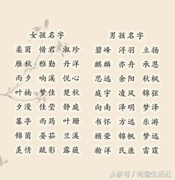 藏在古诗句里的好名字