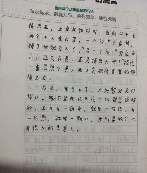 春天的诗句赏析作文,诗句赏析作文800字,描写春天的诗句赏析作文