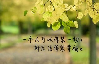 形容婚姻幸福的古诗,婚姻美满幸福的古诗句,祝福婚姻幸福的古诗