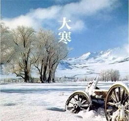 关于雪景的诗句古诗词