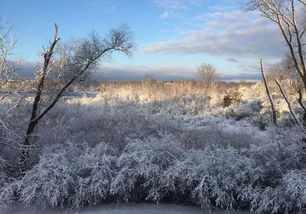 描写雪景的诗句大全,雪景诗句古诗词,描写雪景相思的诗句古诗词