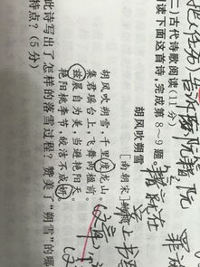 汉字,诗句