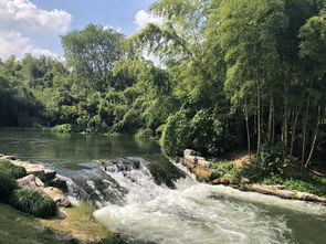 龙井,杭州,诗句,美景