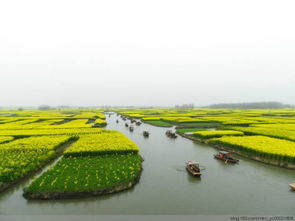 诗句,注重,细节