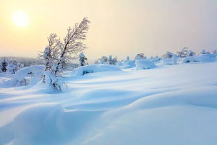 关于写雪的古代著名诗句