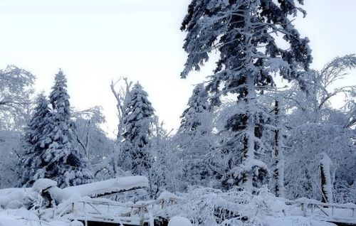 还有哪些关于雪花的诗句